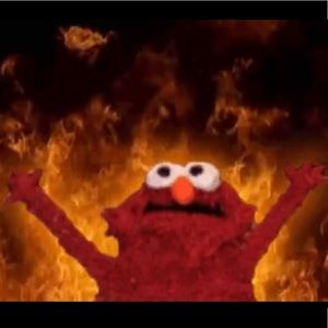 Meet your Posher, Jacquelin